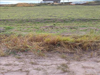 Terreno à Venda