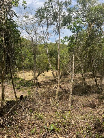 Terreno à Venda