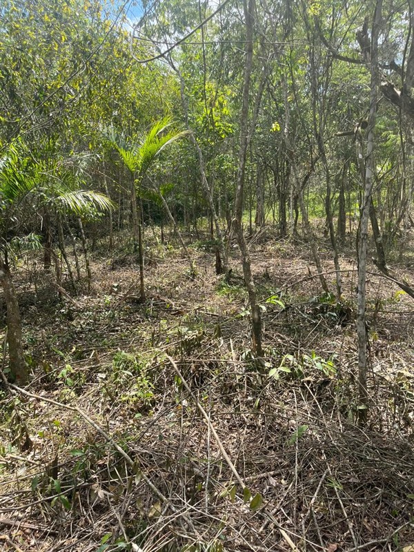Terreno a Venda no parque nacional  em Itatiaia - Foto do Im�vel