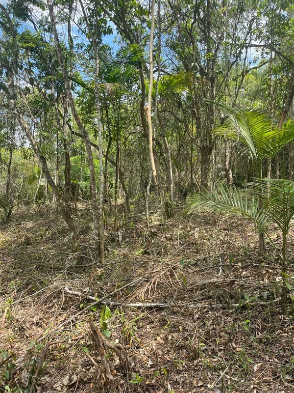 Terreno a Venda no parque nacional  em Itatiaia - Foto do Im�vel