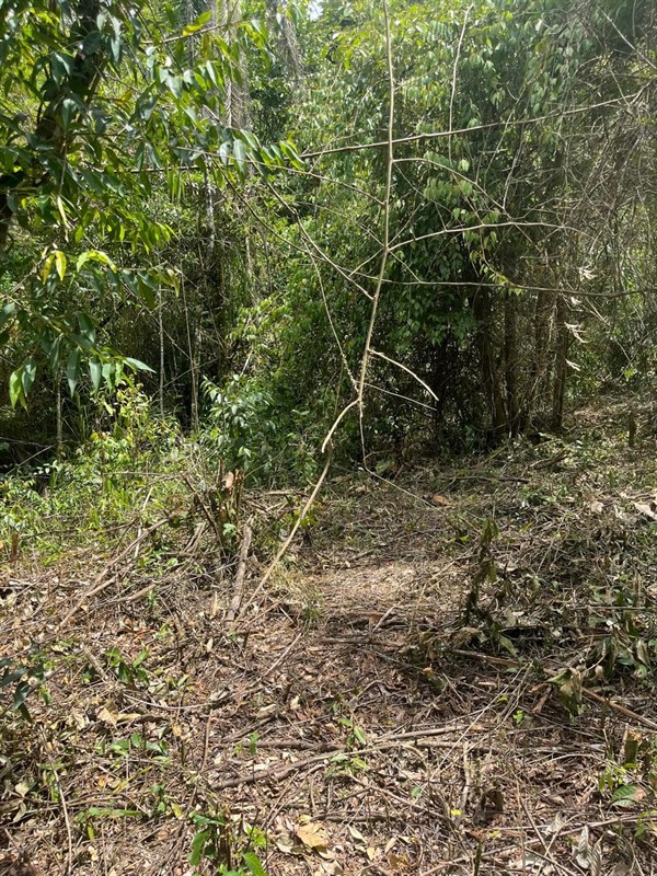 Terreno a Venda no parque nacional  em Itatiaia - Foto do Im�vel
