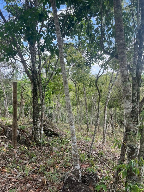 Terreno a Venda no parque nacional  em Itatiaia - Foto do Im�vel