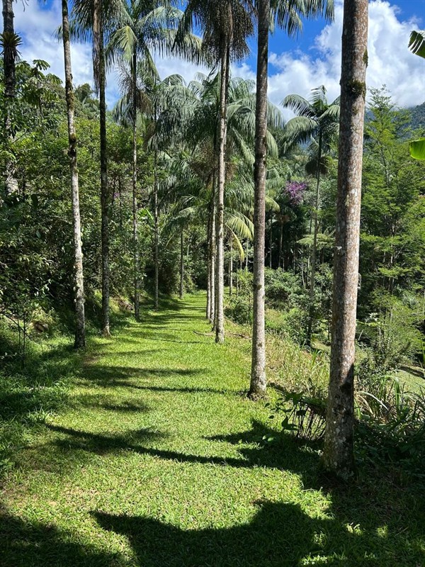 Casa em condomínio a Venda no Alambari em Resende - Foto do Im�vel