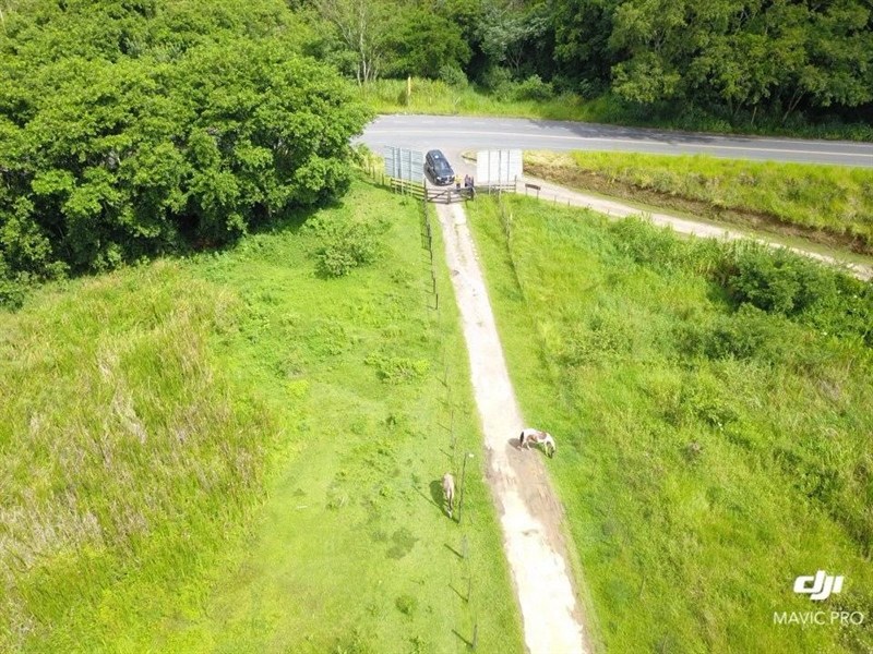 Terreno a Venda no Fazenda Penedo em Penedo (Itatiaia) - Foto do Im�vel