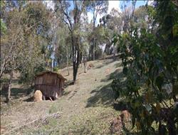 Terreno à Venda