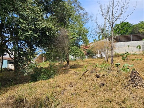 Terreno à Venda