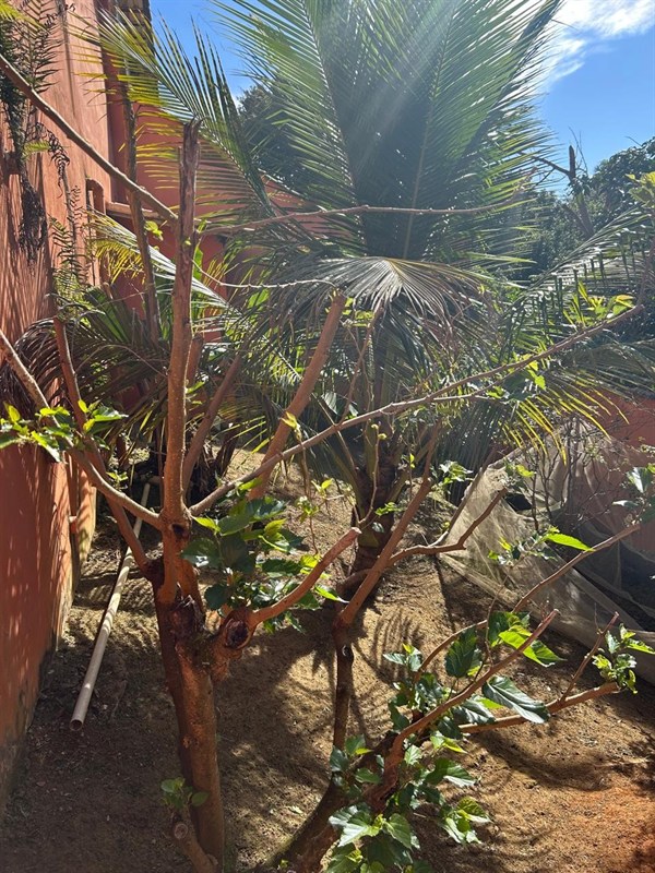 Casa a Venda no Morada da Colina I II III em Resende - Foto do Im�vel