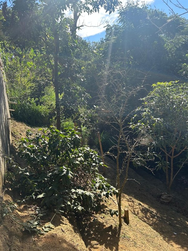 Casa a Venda no Morada da Colina I II III em Resende - Foto do Im�vel