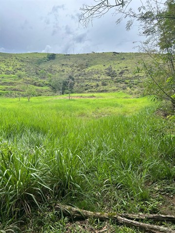 Terreno à Venda